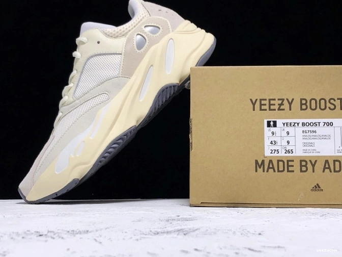 EG7596 Adidas 700 Analog Boost Yeezy 1025